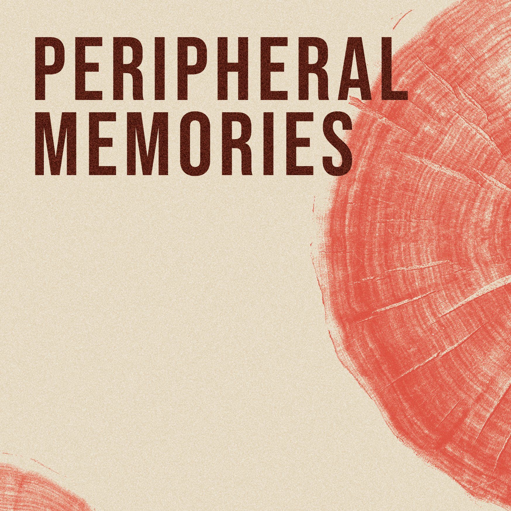Peripheral Memories | La mostra a Trieste